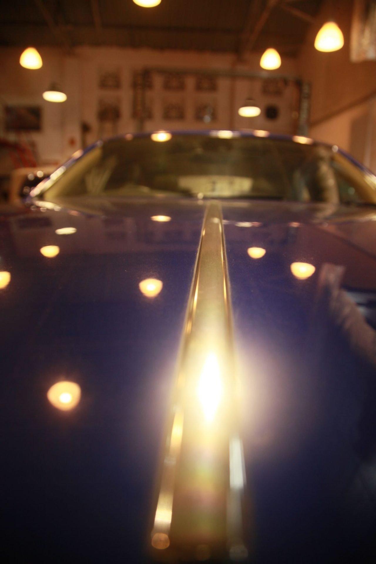 Rr bonnet